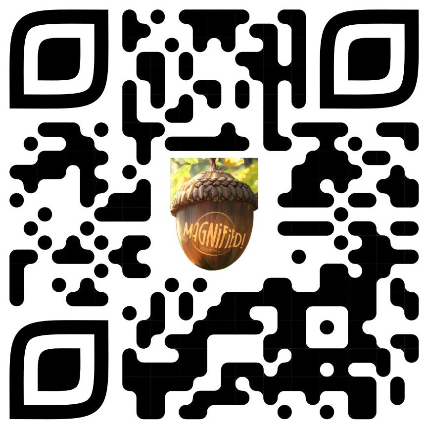 VistaQR website forms gle BMfGsGQe5dQ5baaAA 5